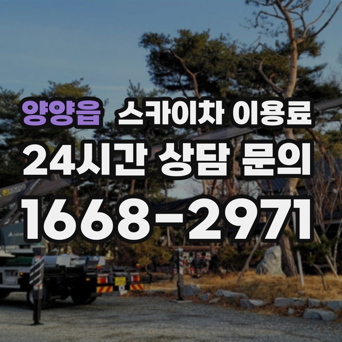 양양읍 스카이차 이용료