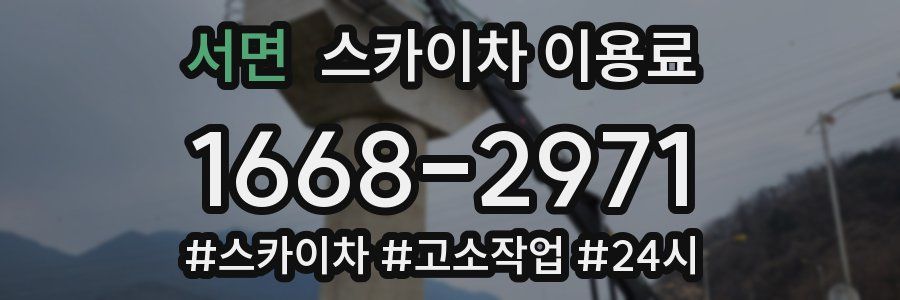 서면 스카이차 이용료