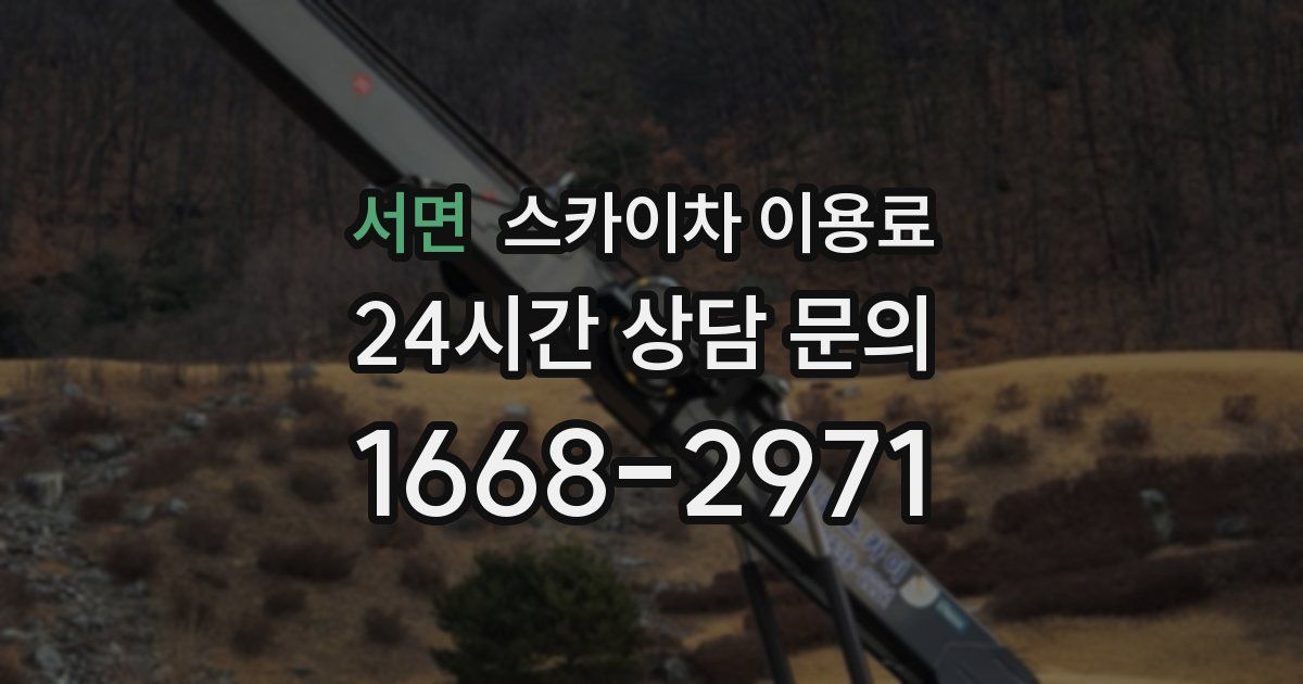 서면 스카이차 이용료