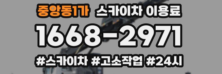 중앙동1가 스카이차 이용료