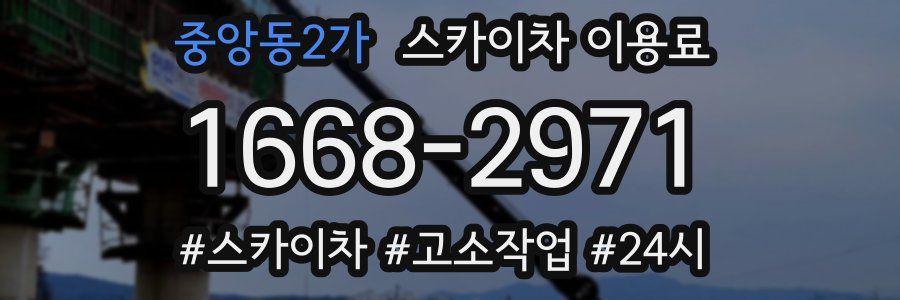 중앙동2가 스카이차 이용료