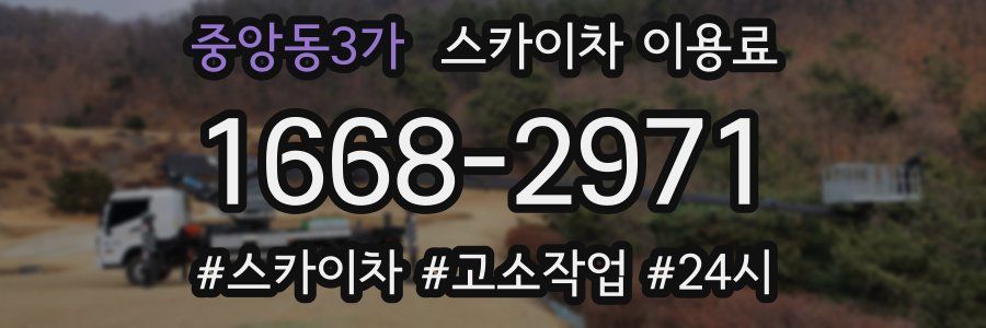 중앙동3가 스카이차 이용료