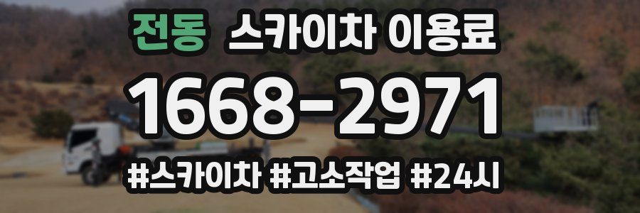 전동 스카이차 이용료