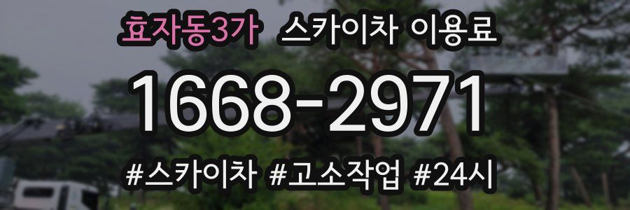 효자동3가 스카이차 이용료