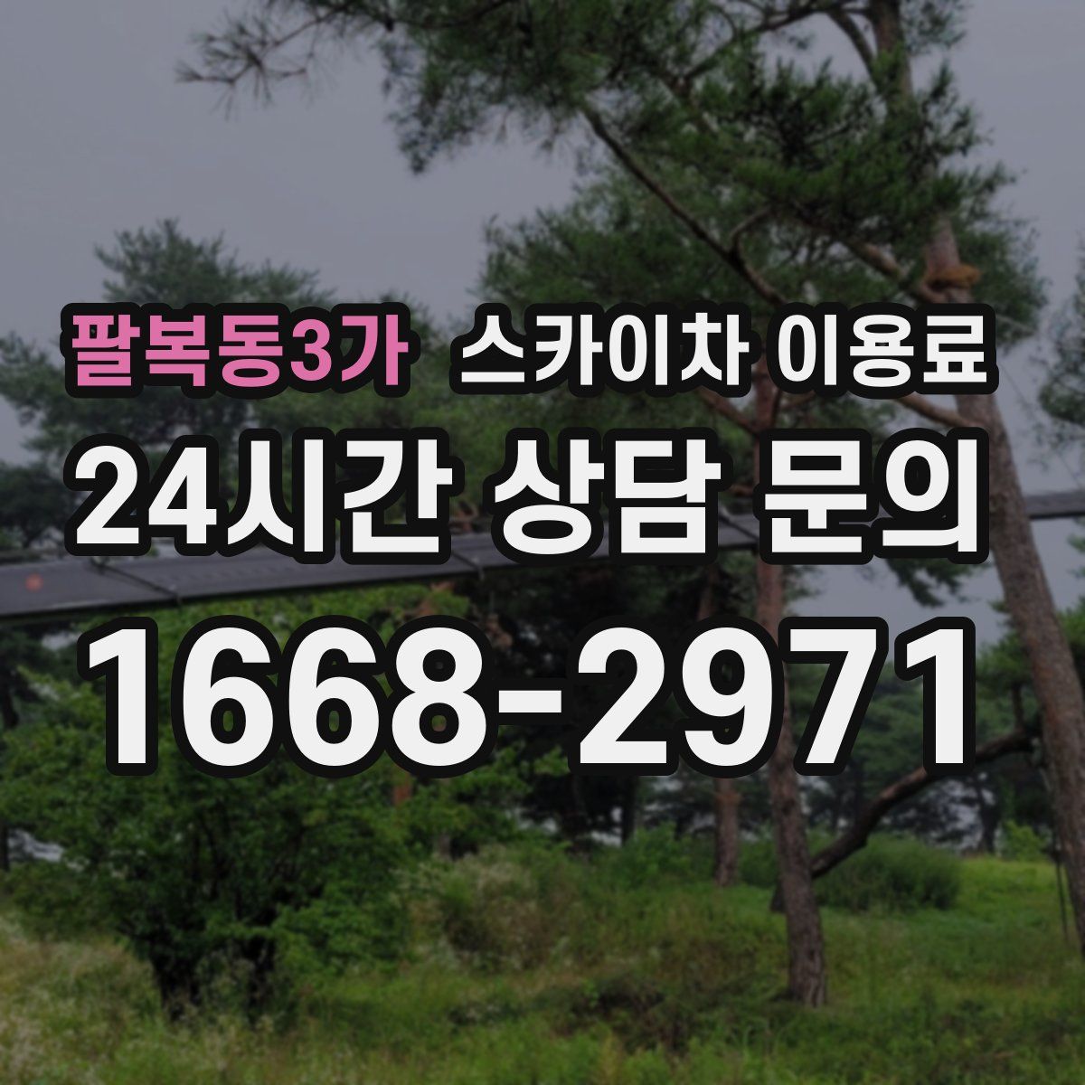 팔복동3가 스카이차 이용료