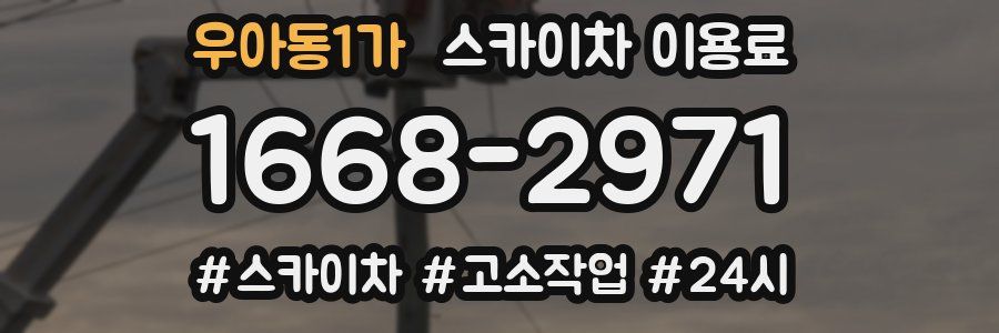 우아동1가 스카이차 이용료