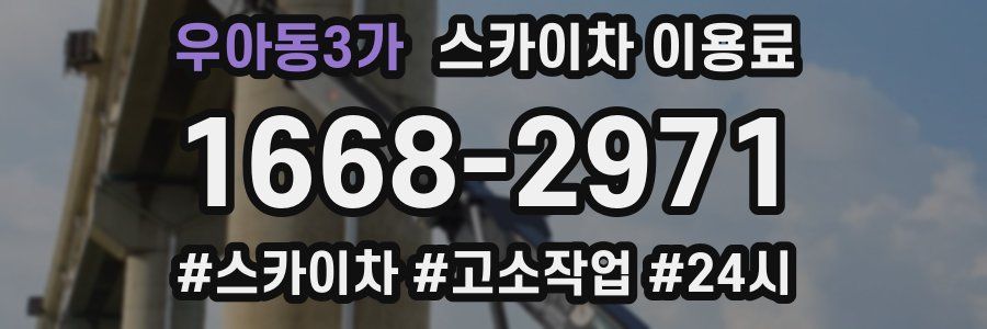 우아동3가 스카이차 이용료