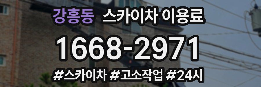 강흥동 스카이차 이용료