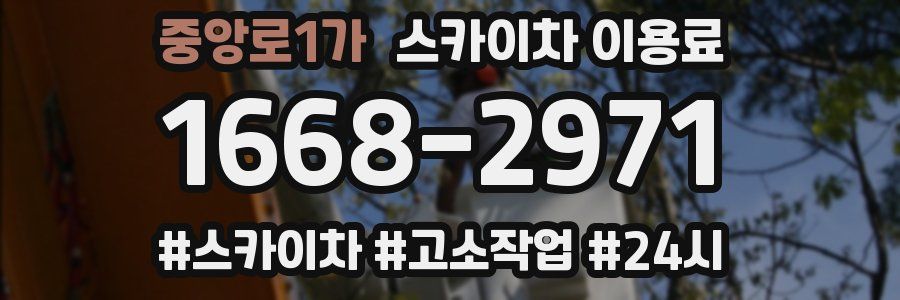 중앙로1가 스카이차 이용료