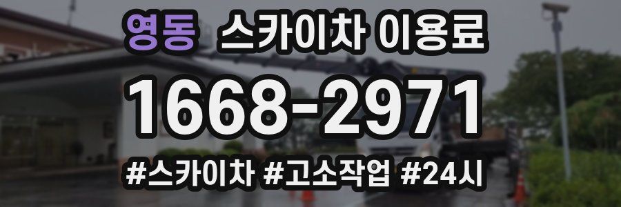 영동 스카이차 이용료