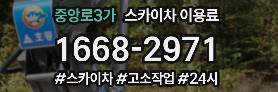 중앙로3가 스카이차 이용료