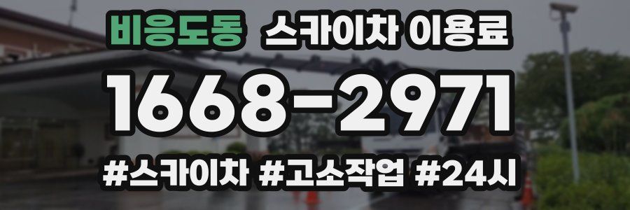 비응도동 스카이차 이용료