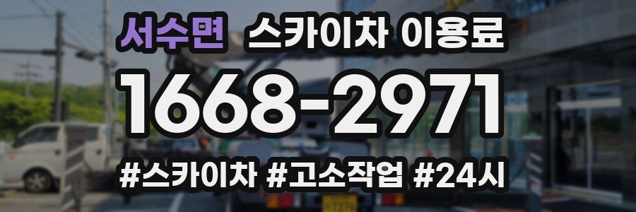 서수면 스카이차 이용료