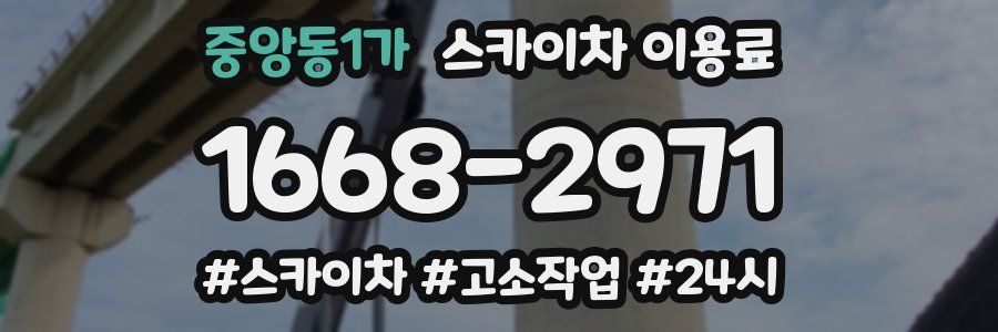 중앙동1가 스카이차 이용료