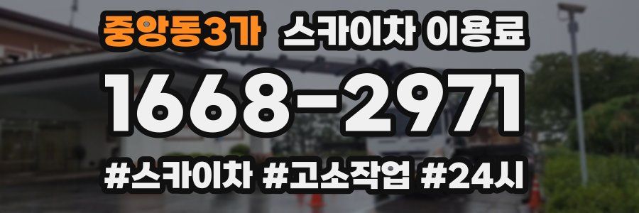 중앙동3가 스카이차 이용료