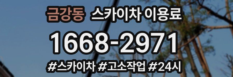 금강동 스카이차 이용료