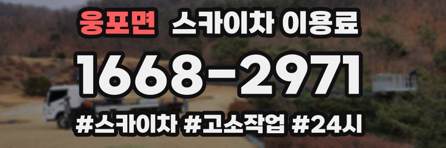 웅포면 스카이차 이용료