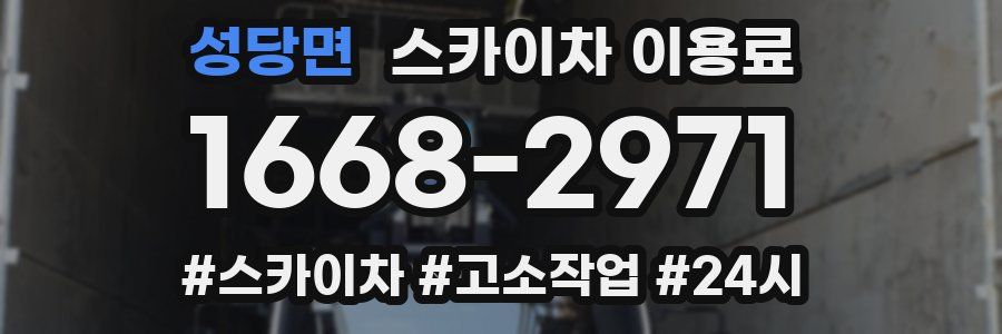 성당면 스카이차 이용료