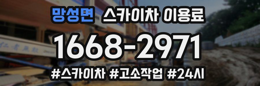 망성면 스카이차 이용료
