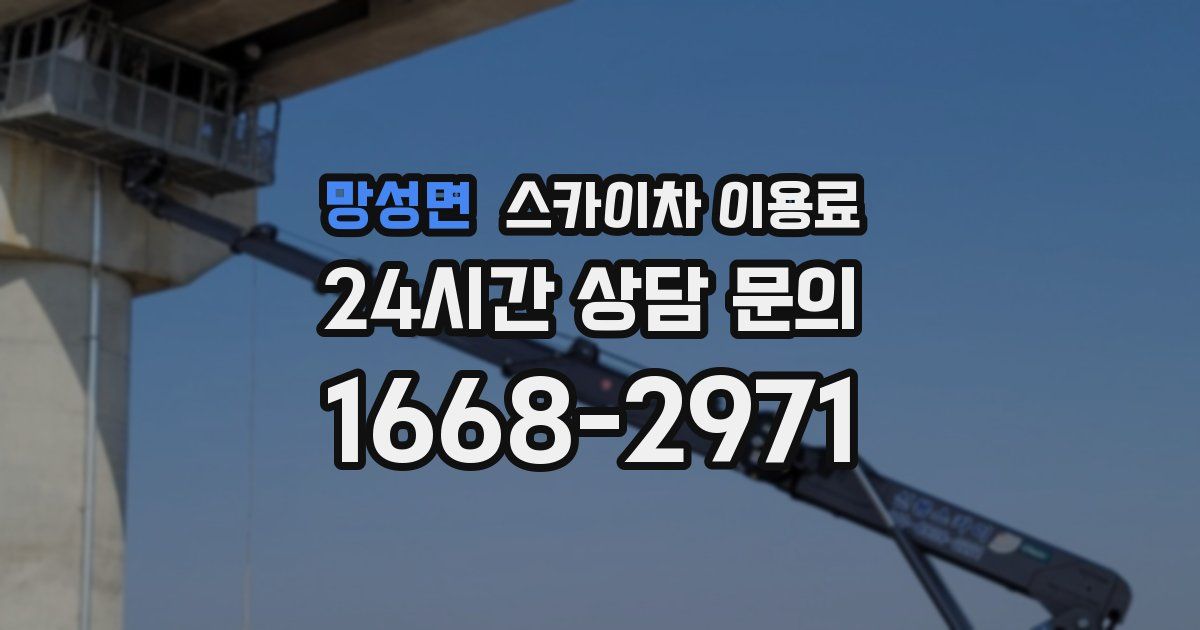 망성면 스카이차 이용료