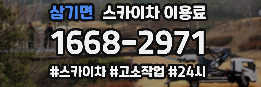 삼기면 스카이차 이용료