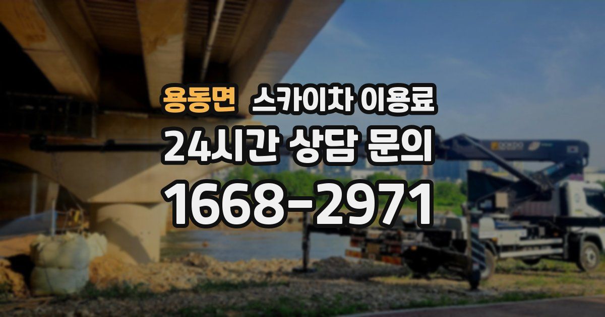 용동면 스카이차 이용료