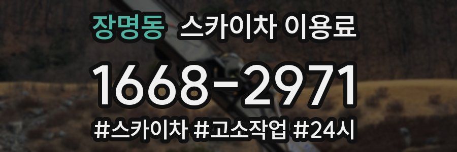 장명동 스카이차 이용료