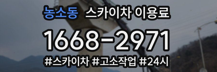 농소동 스카이차 이용료