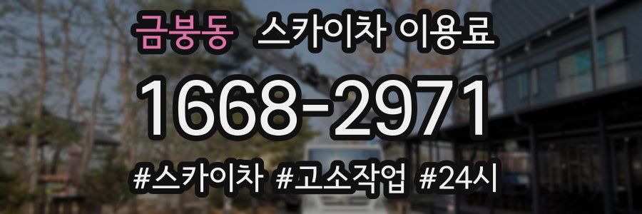 금붕동 스카이차 이용료