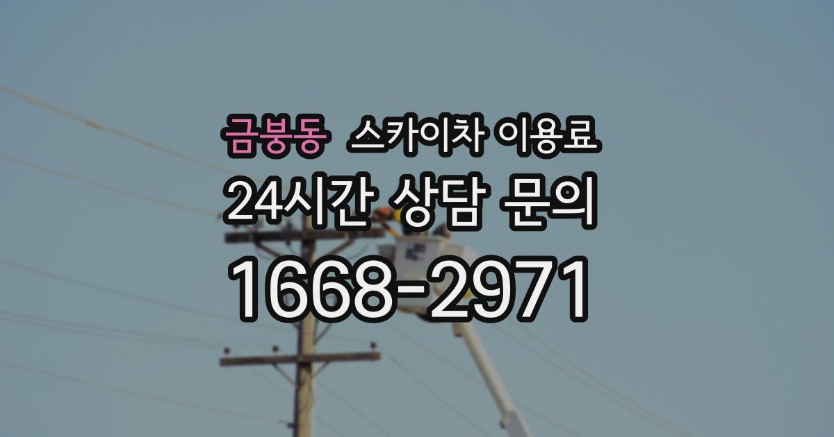 금붕동 스카이차 이용료