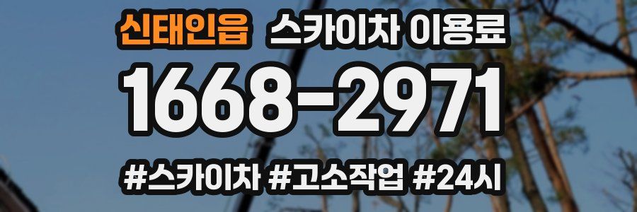 신태인읍 스카이차 이용료