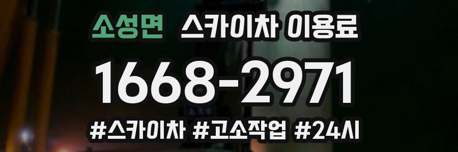 소성면 스카이차 이용료