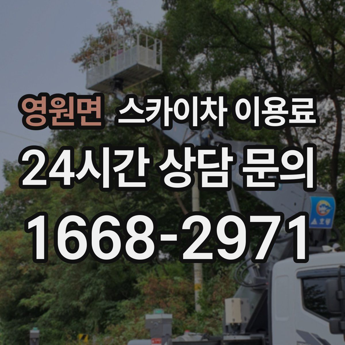 영원면 스카이차 이용료