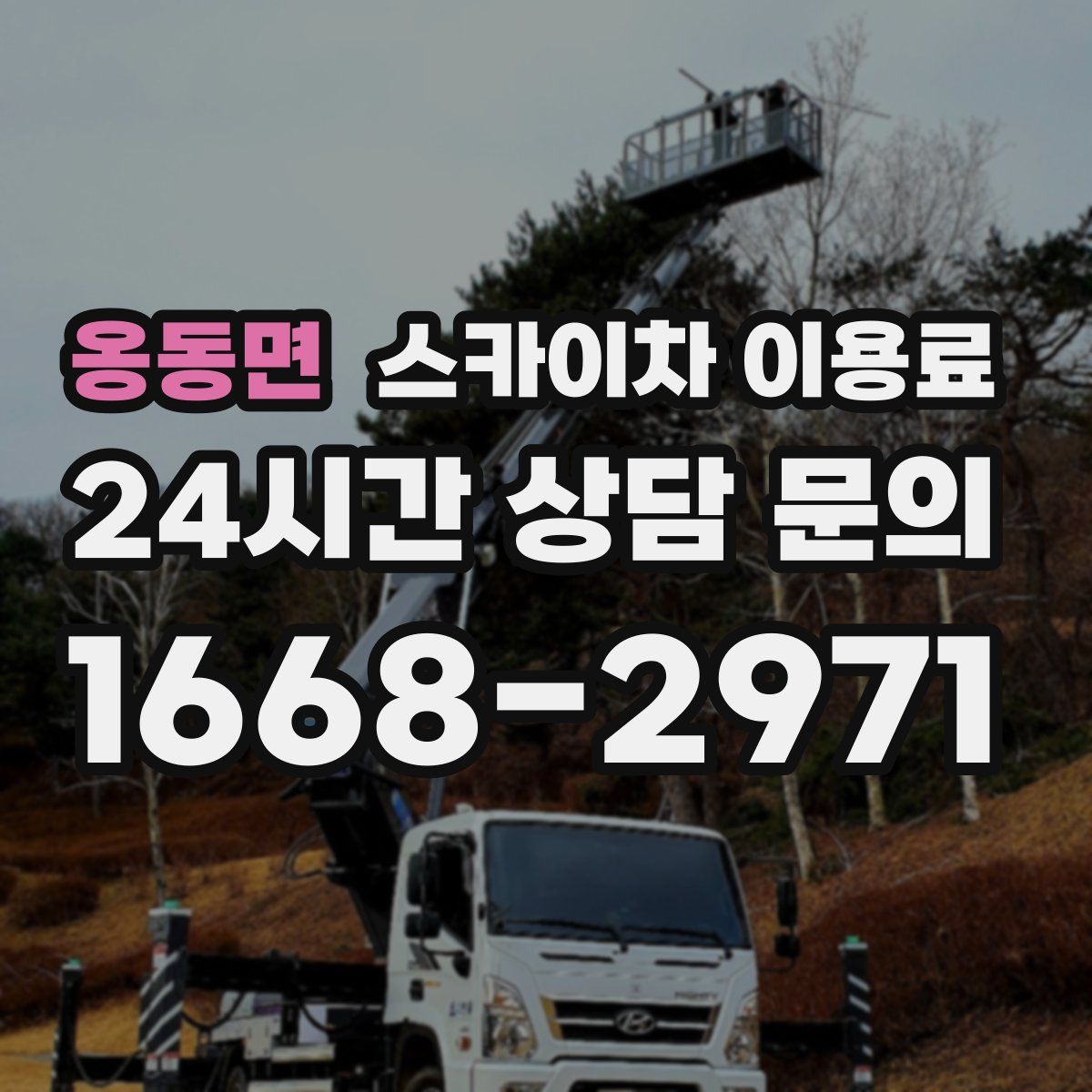 옹동면 스카이차 이용료