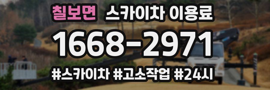 칠보면 스카이차 이용료