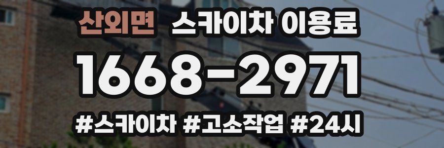 산외면 스카이차 이용료