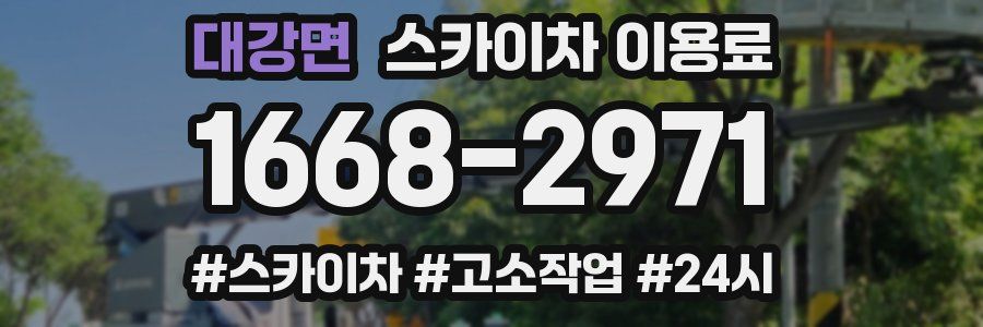 대강면 스카이차 이용료