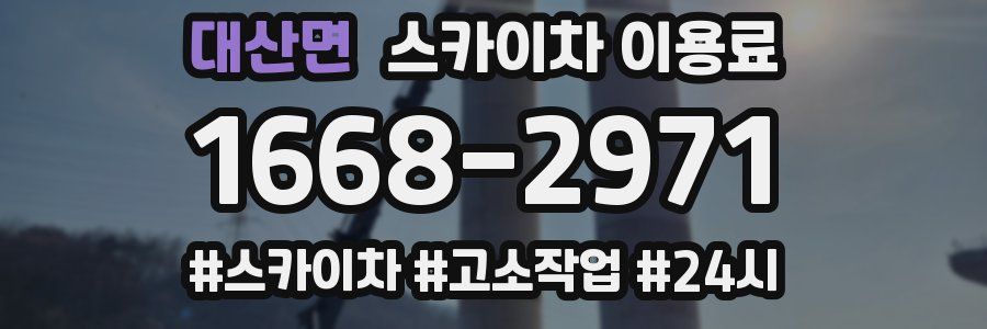 대산면 스카이차 이용료