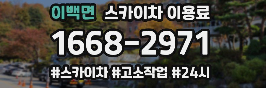 이백면 스카이차 이용료