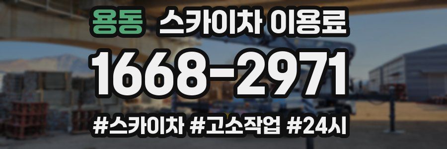 용동 스카이차 이용료