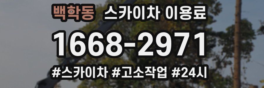 백학동 스카이차 이용료