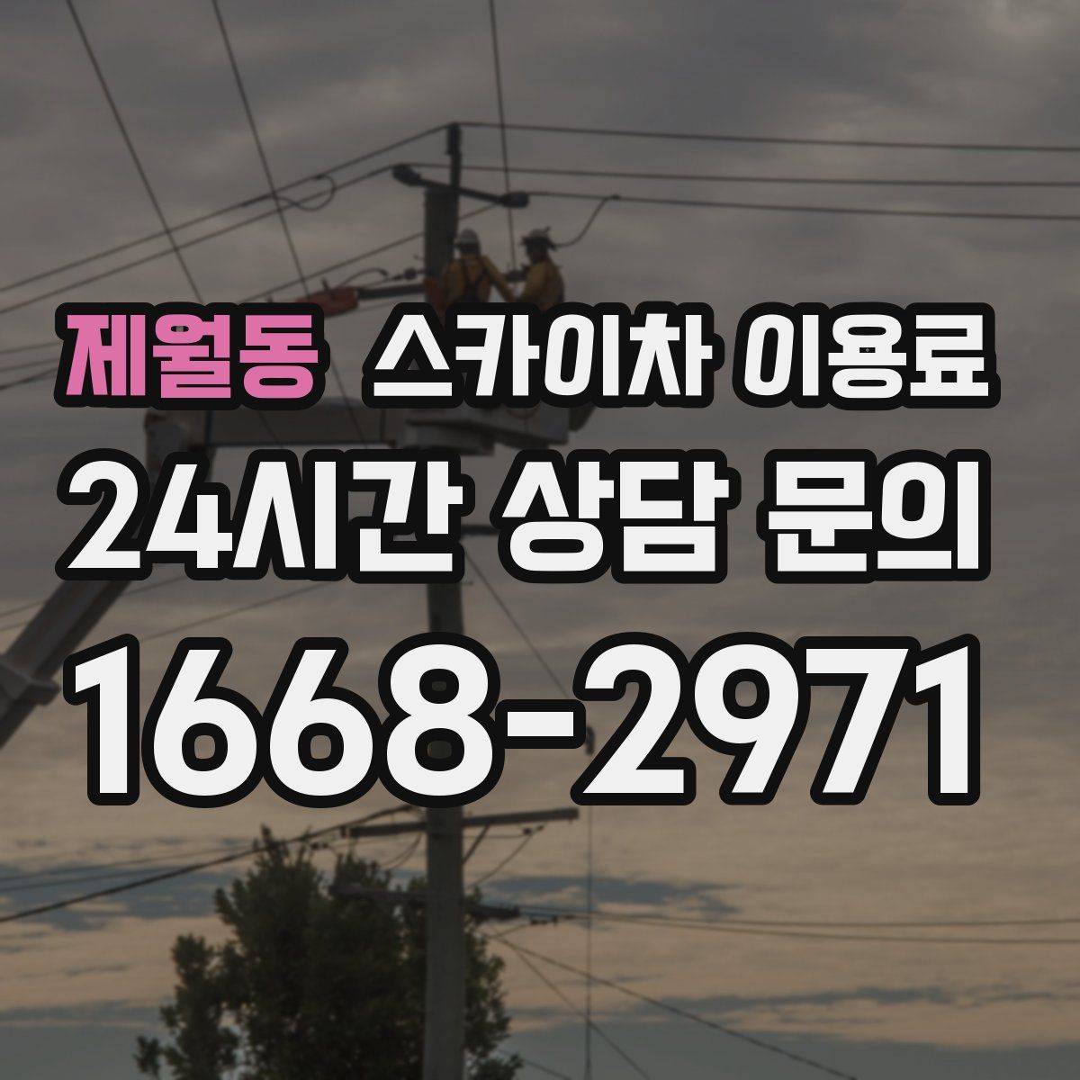 제월동 스카이차 이용료