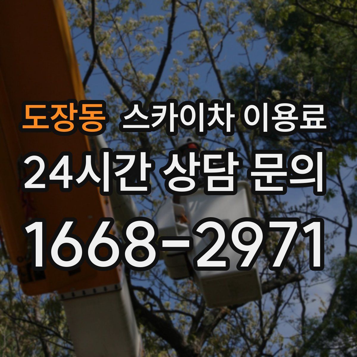 도장동 스카이차 이용료