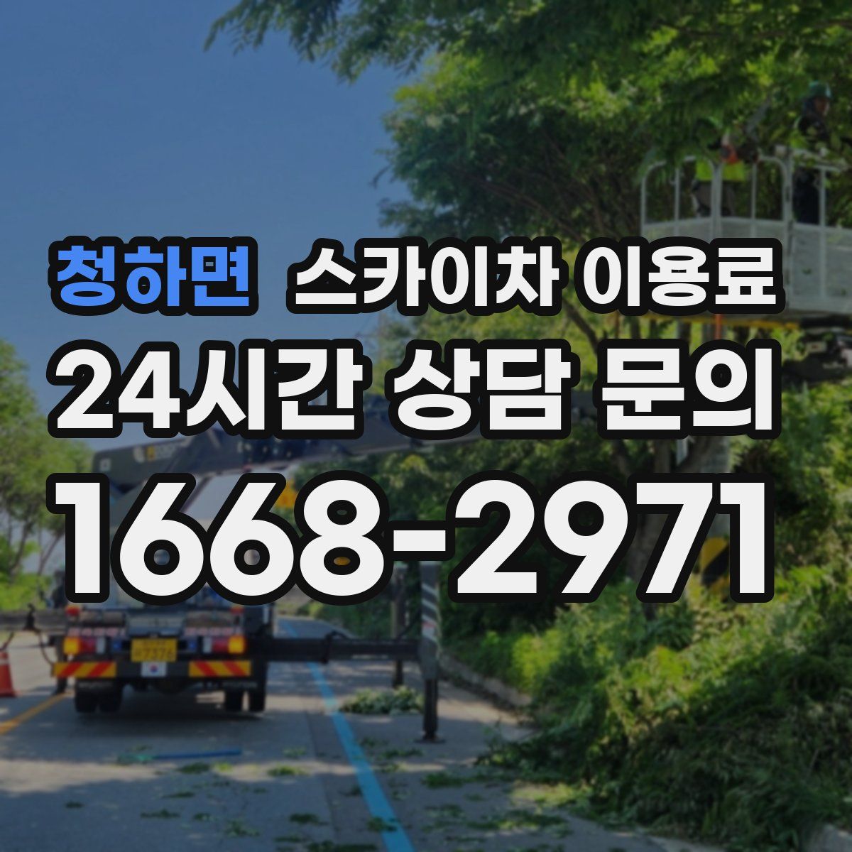 청하면 스카이차 이용료