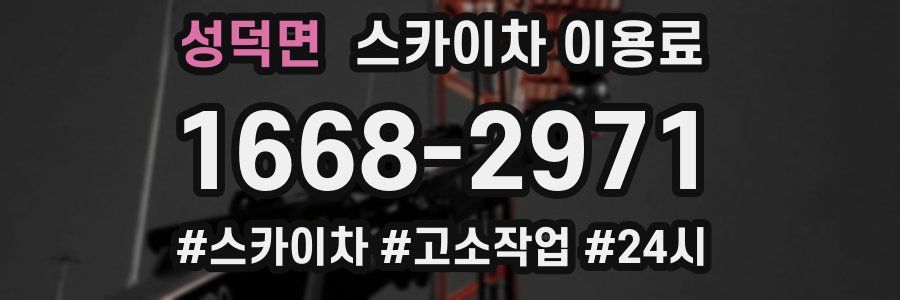 성덕면 스카이차 이용료