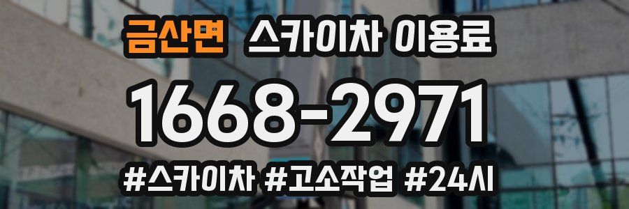 금산면 스카이차 이용료