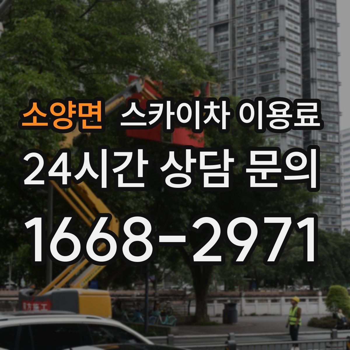 소양면 스카이차 이용료