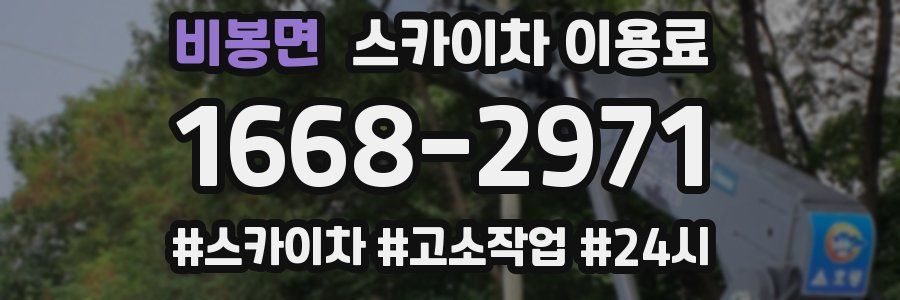 비봉면 스카이차 이용료