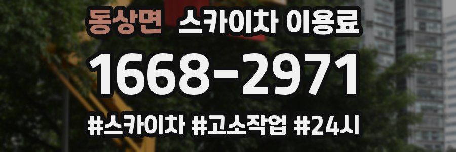동상면 스카이차 이용료