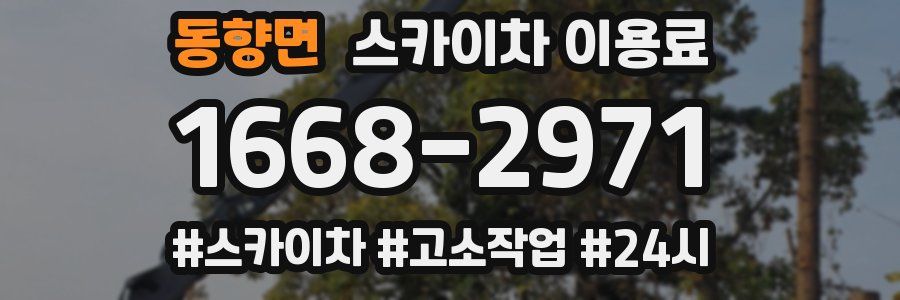 동향면 스카이차 이용료